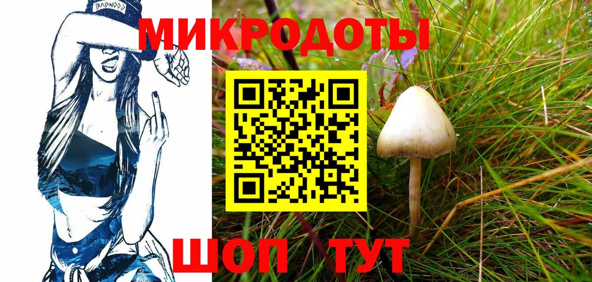 Псилоцибиновые грибы Psilocybe Канаш